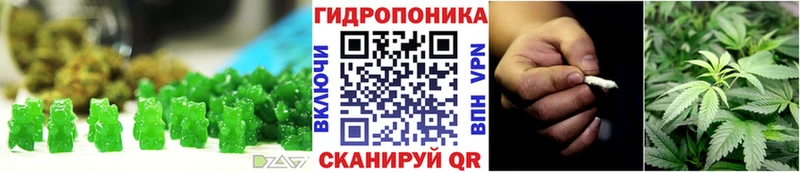 Купить закладки  Нерюнгри  Canna-Cookies марихуана 