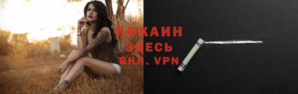 тгк Медвежьегорск