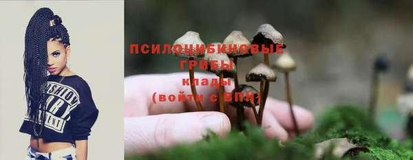 первитин Мегион