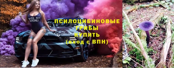 прущая мука Медногорск