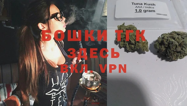 тгк Медвежьегорск