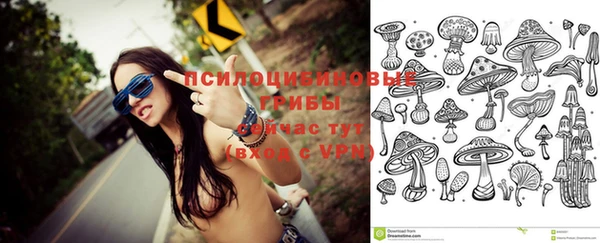 прущая мука Медногорск