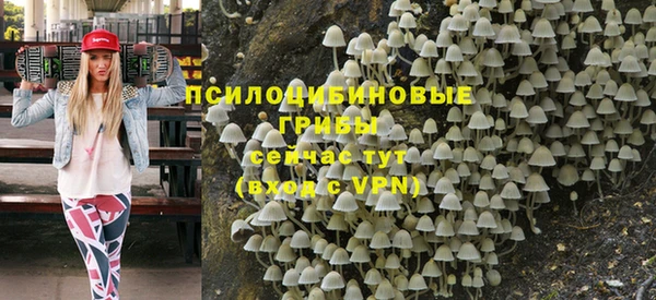 прущая мука Медногорск
