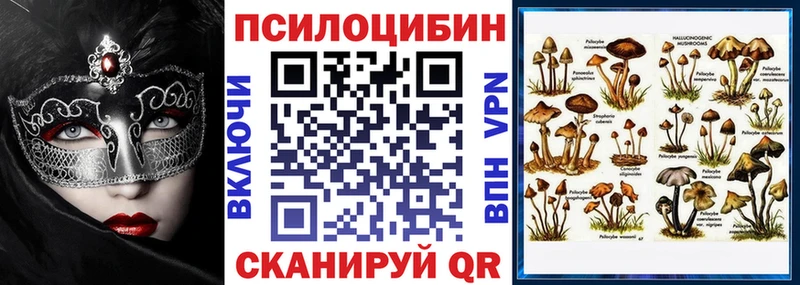 Купить  Нерюнгри  Псилоцибиновые грибы Psilocybe 